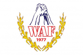 World Armwrestling Federation disqualifies Georgian Armwrestling Federation 