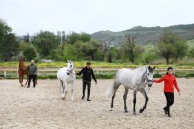 For the 1st time in 30 years Georgian Sports Ministry buys horses for Equestrian Federation