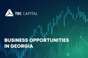 Business Opportunities in Georgia