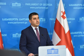 Despite Georgia’s best efforts to get into NATO, EU, we never get deserved reciprocal steps from West - parliament speaker 