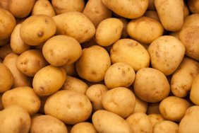 Harmful organisms detected in Russian potatoes imported to Georgia