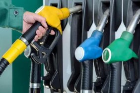 PM Garibashvili pledges decrease in fuel prices by 20-30 tetri 