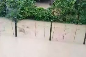 Three missing as landslides hit Guria, Adjara regions 