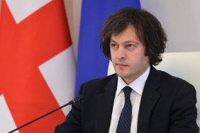 Georgian PM says he accused former US Ambassador of backing revolutionary scenarios 