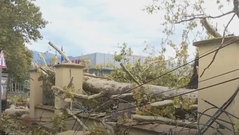 ახმეტაში სტიქიის შედეგად მოზარდი დაშავდა