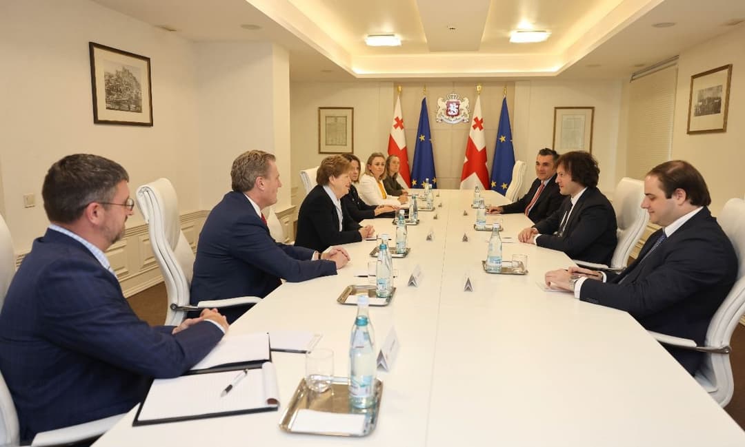 ირაკლი კობახიძე სენატორ შაჰინსა და კონგრესმენ ტერნერს შეხვდა