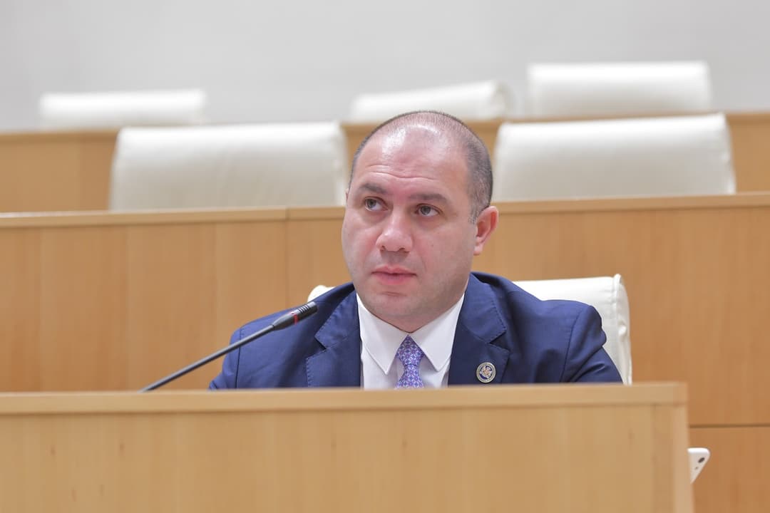 გივი მიქანაძე – მინდა მოვუწოდო ახალგაზრდებს, რომ ძალებს, რომლებიც ქვეყნის საწინააღმდეგოდ მოქმედებენ, არ მისცენ შესაძლებლობა, გამოიყენონ ისინი არეულობის შესაქმნელად