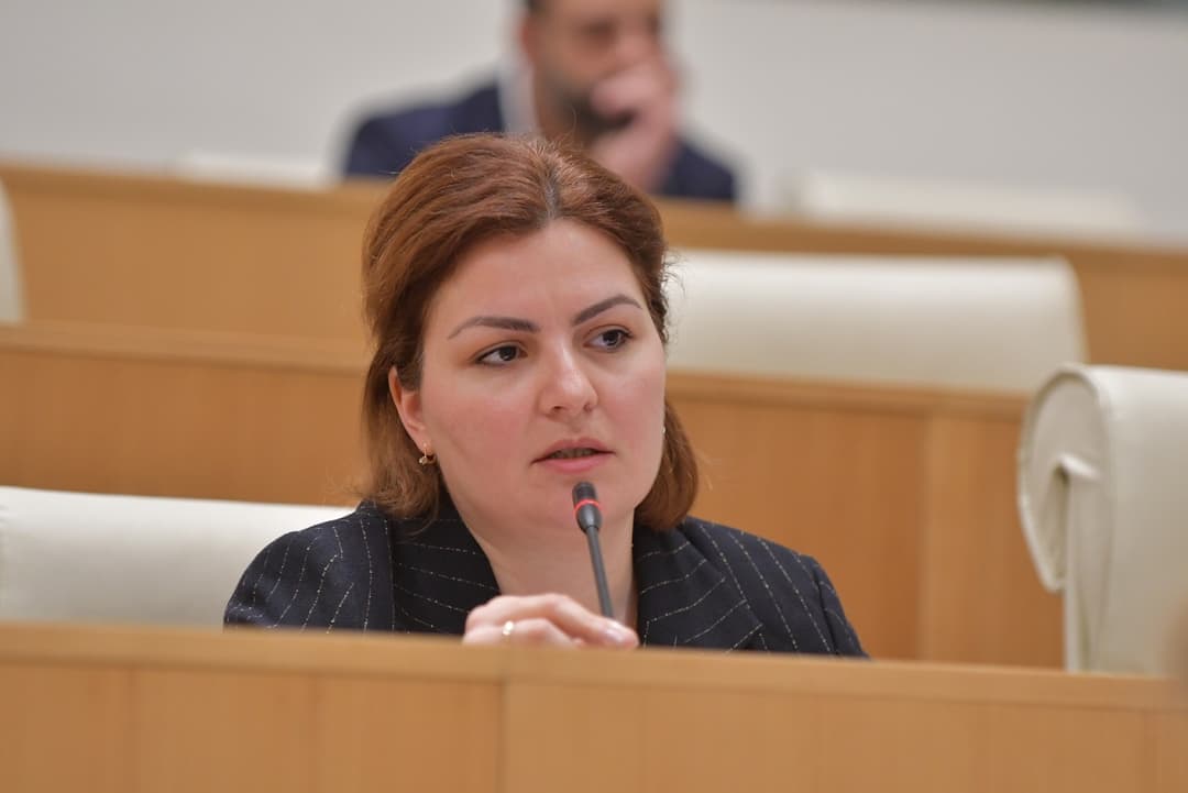 Georgian opposition accuses Ivanishvili of planning to recognize de facto Abkhazia to retain power