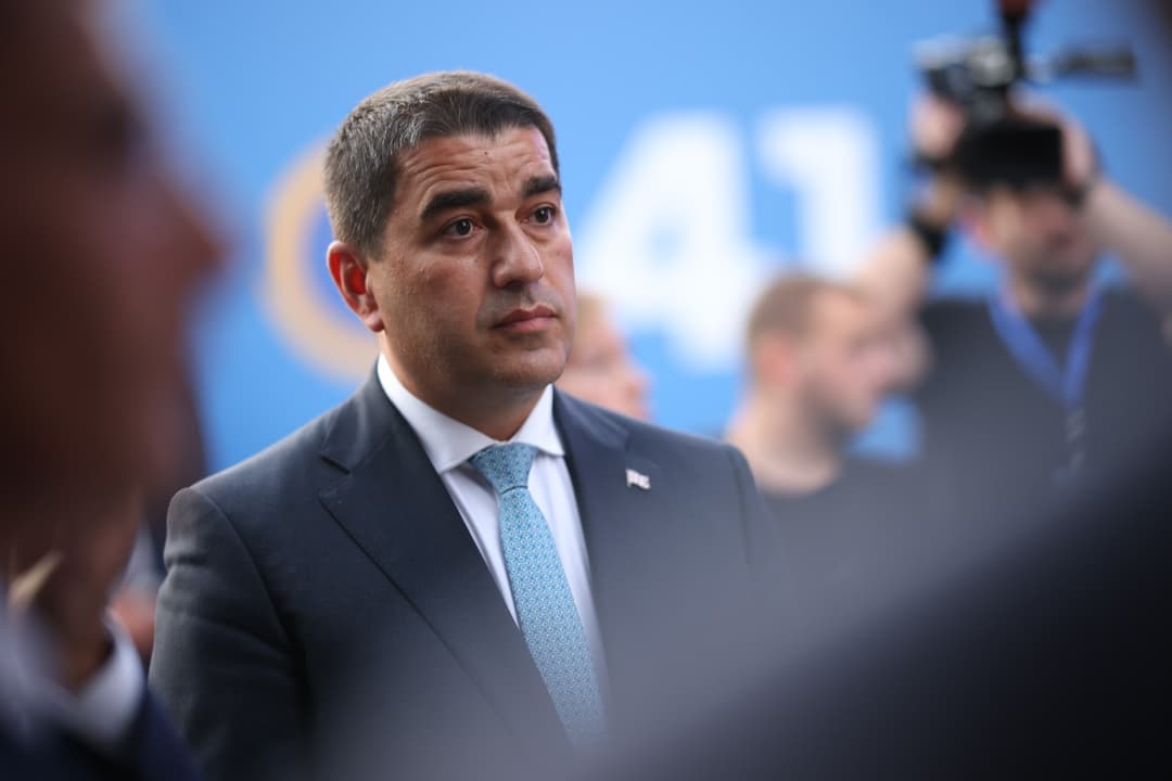 შალვა პაპუაშვილი – ამიტომ ვაფრთხილებდი დონორებს, დაეგმოთ და გამიჯვნოდნენ ამ ზიზღის და ძალადობის კამპანიას