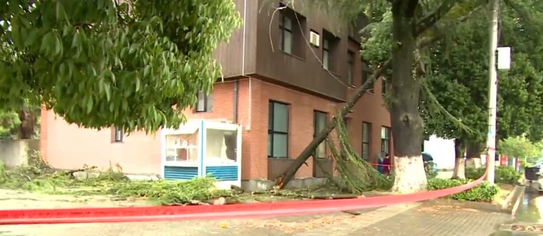 ზუგდიდში ძლიერმა წვიმამ და ქარმა პრობლემები შექმნა