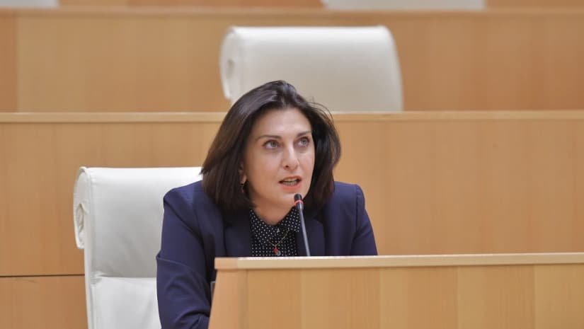 Georgian opposition urges Constitutional Court to deliver ‘fair verdict’ on controversial law