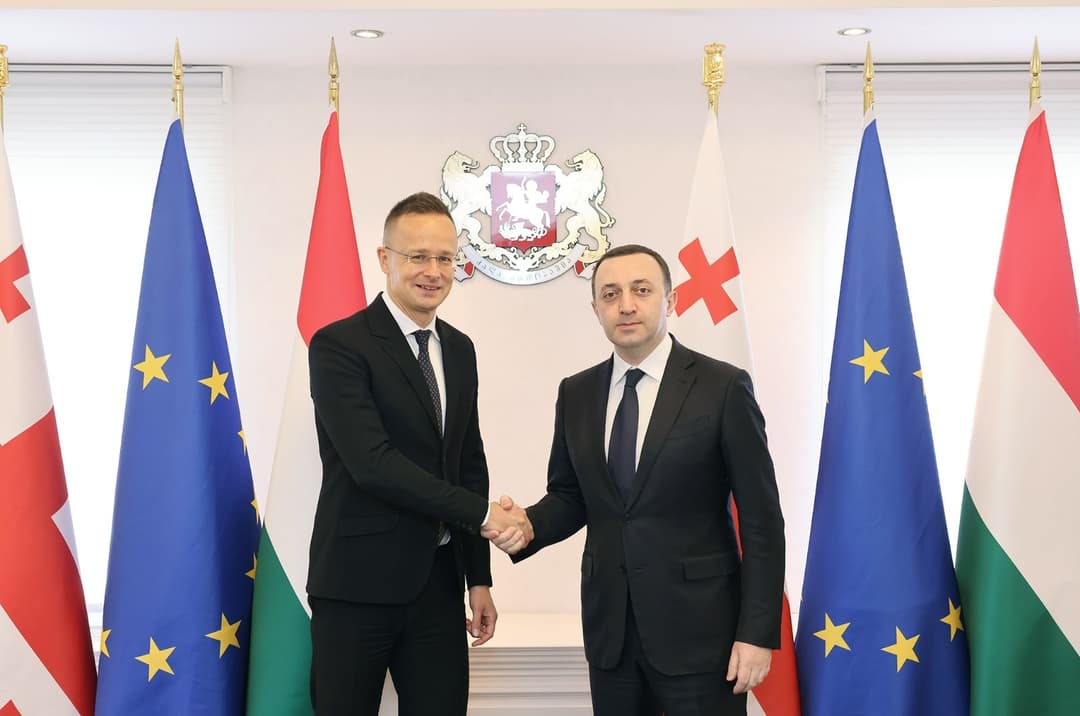 Georgian PM, Hungarian FM discuss ties, EU integration, Black Sea cable in Tbilisi