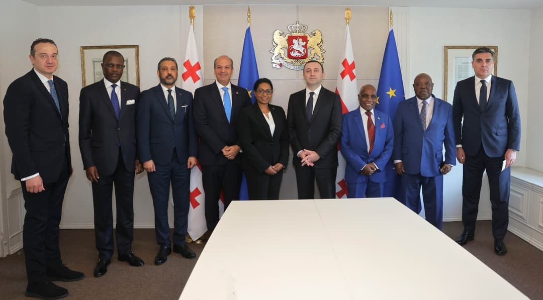 ირაკლი ღარიბაშვილი გაეროში სხვადასხვა ქვეყნის მუდმივ წარმომადგენლებს შეხვდა