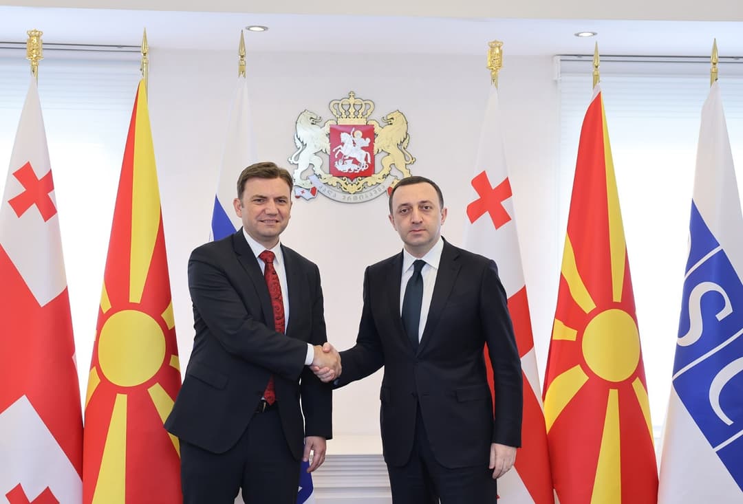 Georgian PM discusses security, country’s EU integration with OSCE official