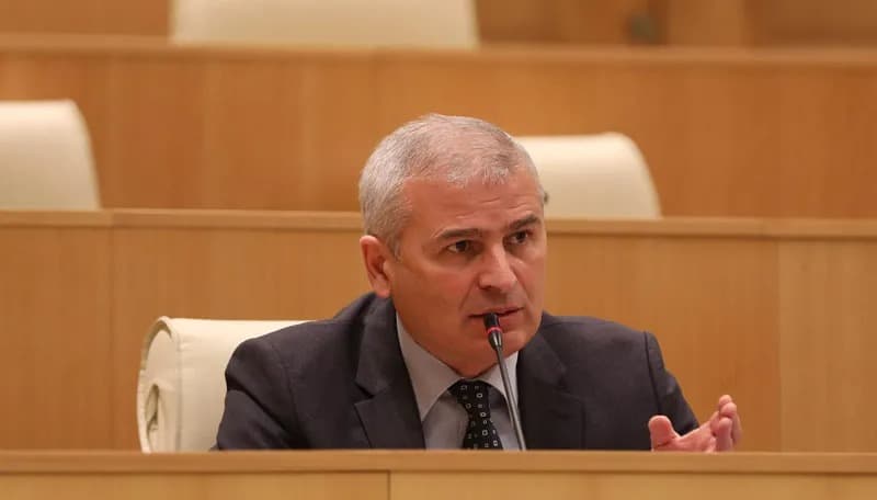 EP resolution reflects thoughts of ‘Georgian radical opposition’ – ruling party MP