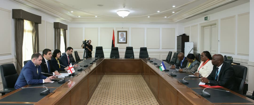 შალვა პაპუაშვილი ლესოტოს სამეფოს სენატის პრეზიდენტს შეხვდა