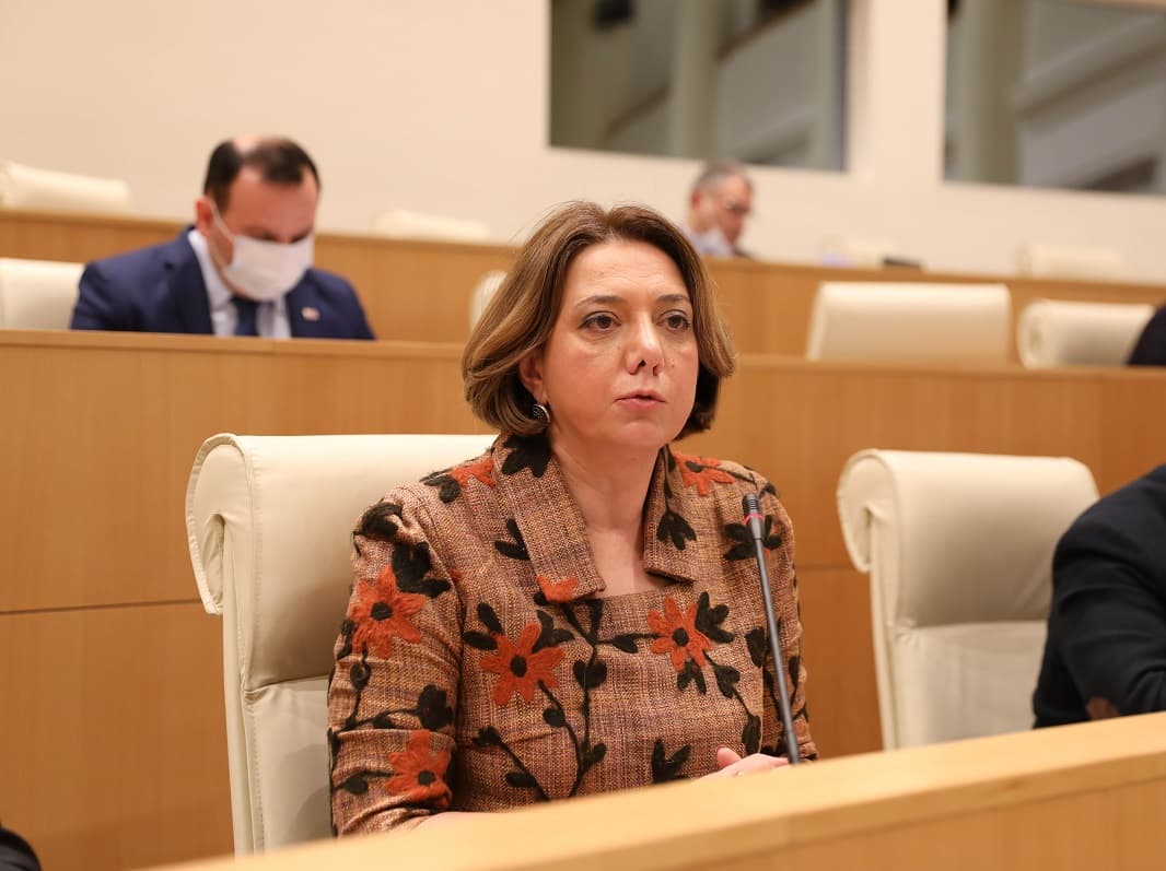 სალომე სამადაშვილი – ყველაზე ნათელი გზავნილი შერიგების თაობაზე ყოფილი პრეზიდენტის მიმართ შეწყალების აქტის განხორციელება იქნებოდა