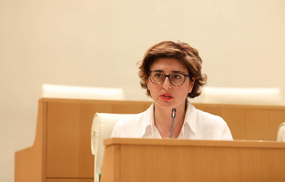 ხათუნა სამნიძე – ადამიანის ღირსებას ამ ქვეყანაში თუ ვინმე აზიანებს, ეს არის “ქართული ოცნების“ და პრემიერის ასეთი განცხადებები