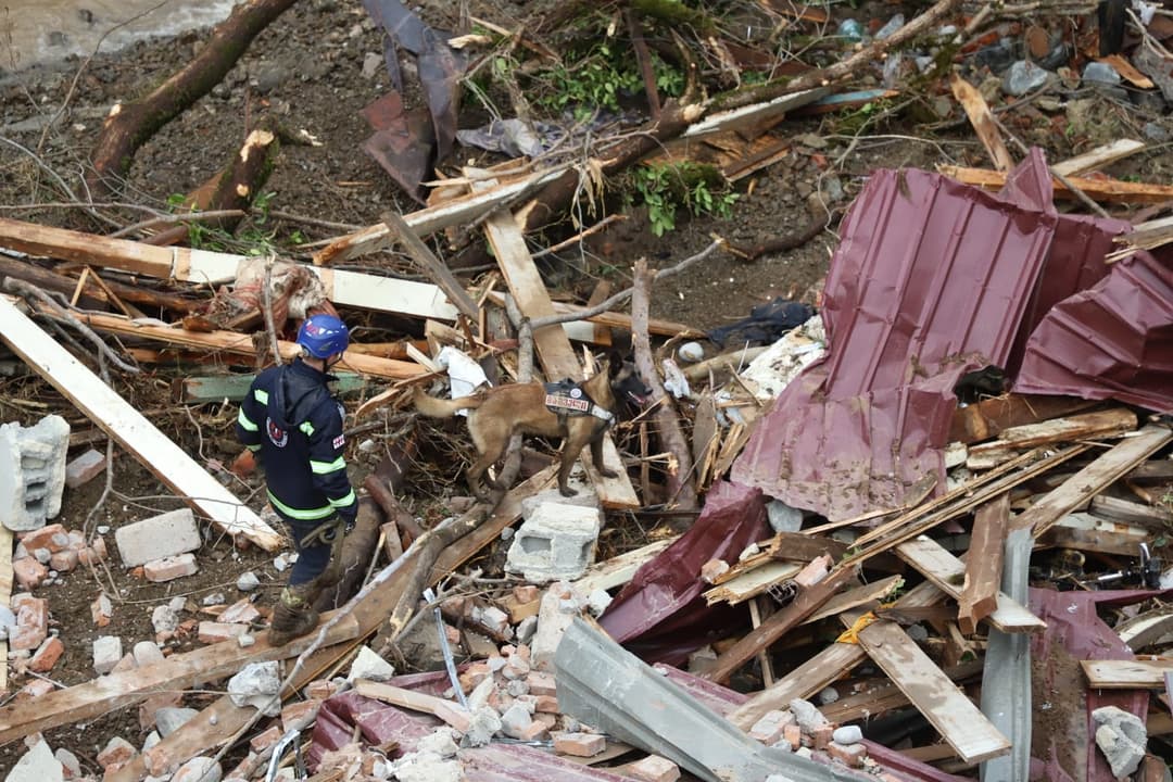 Ninth victim recovered after deadly landslide in western Georgian village