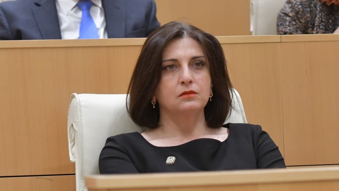 თამარ კორძაია – NDI არის ის ფონდი, რომელიც პარტიებსა და პოლიტიკოსებს ამომრჩეველთან ურთიერთობაში ეხმარება