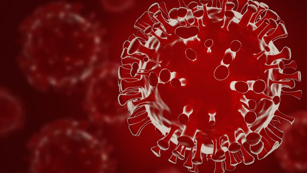 Coronavirus: 2,185 new cases in Georgia,19,538 remain infected