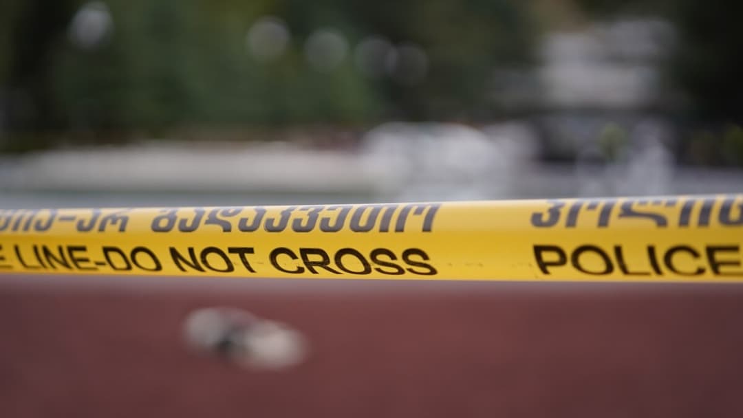 15 წლის ბიჭი წყნეთში დენის დარტყმის შედეგად გარდაიცვალა