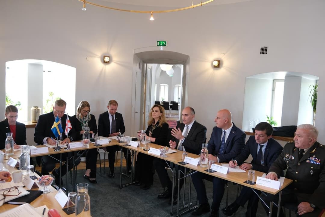 საქართველოს თავდაცვის მინისტრი შვედ კოლეგას შეხვდა