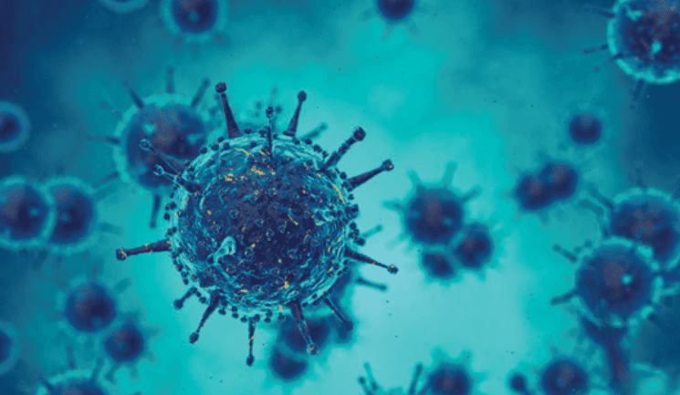 24 საათში საქართველოში კორონავირუსით 81 ადამიანი გარდაიცვალა