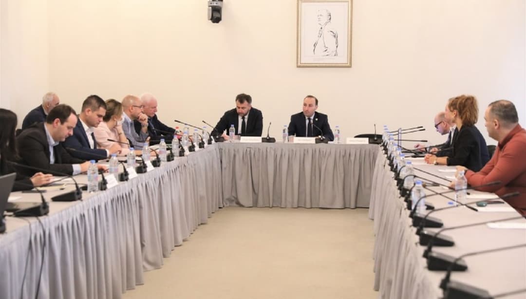 ანრი ოხანაშვილი – ავიღეთ უკრაინული მოდელი, ვთარგმნეთ და იგივე პრინციპებზე დაფუძნებით, მის დაინიცირებას მოვახდენთ