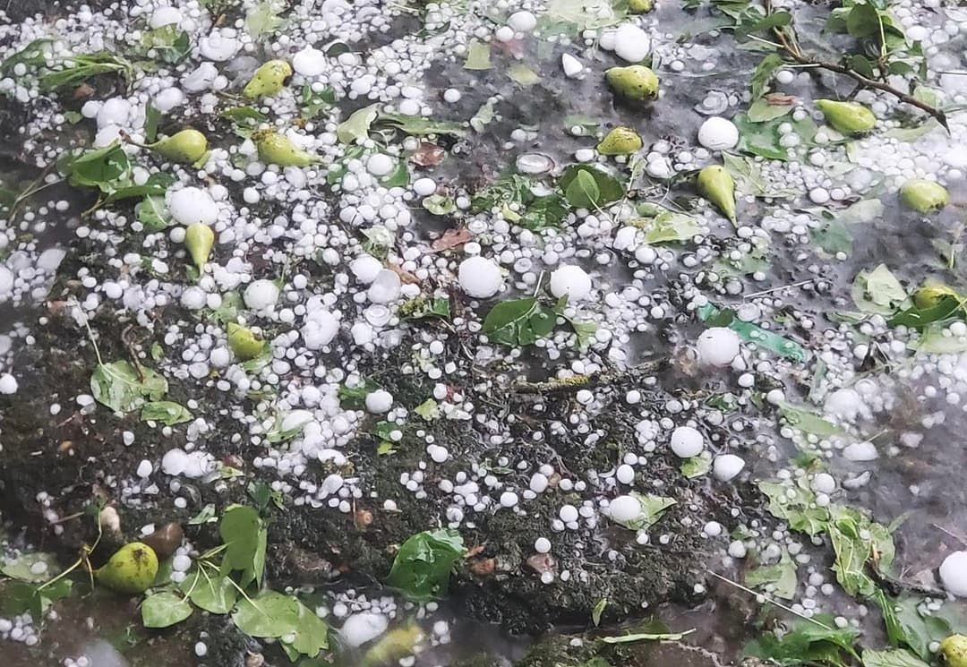 ზვიად შალამბერიძე – დაზარალდა ოთხი მუნიციპალიტეტი, ეს არის საჩხერე, ბაღდათი, თერჯოლა და ზესტაფონი