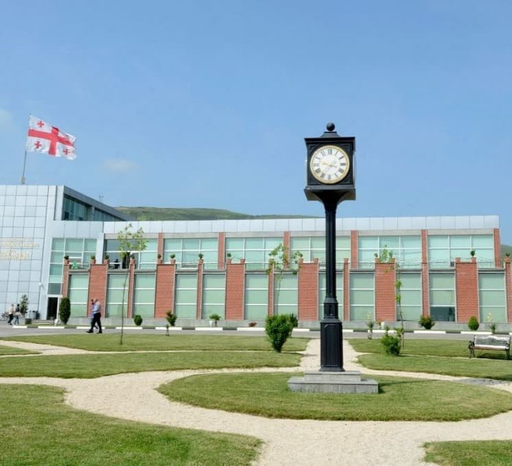 პირველი თებერვლიდან შსს-ს მომსახურების სააგენტო სერვისების ეტაპობრივ განახლებას იწყებს