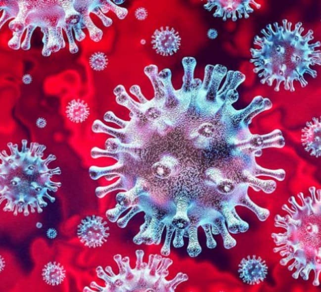 24 საათში ჩატარდა 12 700 ტესტი, გამოვლინდა 479 ახალი დადასტურებული შემთხვევა, გამოჯანმრთელდა 491 პირი