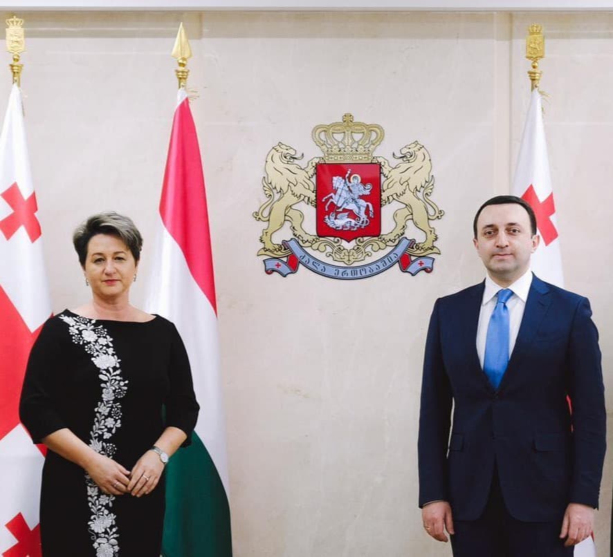 ირაკლი ღარიბაშვილი უნგრეთის ელჩს შეხვდა