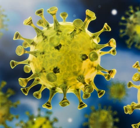 24 საათში საქართველოში კორონავირუსით 10 ადამიანი გარდაიცვალა