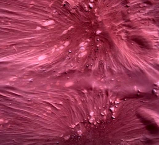 Mars rover sends home movie of daredevil descent to landing on red planet