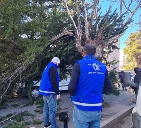 ძლიერმა ქარმა დედაქალაქის სხვადასხვა რაიონში გარკვეული პრობლემები შექმნა