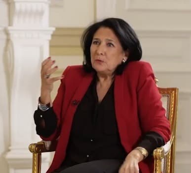 პრეზიდენტმა პრემიერთან ქვეყანაში შექმნილი პოლიტიკური მდგომარეობა და დიალოგის აუცილებლობა განიხილა