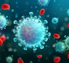 საქართველოში კორონავირუსით კიდევ 12 ადამიანი გარდაიცვალა