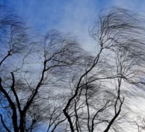 1-5 მარტს მოსალოდნელი ამინდი საქართველოში