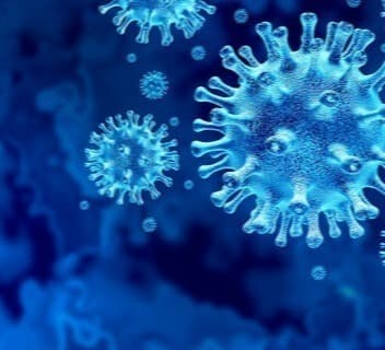 Out of 537 new cases of coronavirus in Georgia, 290 were detected in Tbilisi and 79 in Imereti