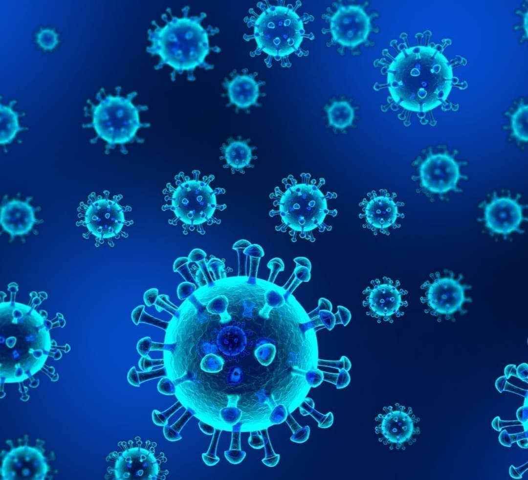 382 new cases of coronavirus were detected in Georgia, 313 people recovered