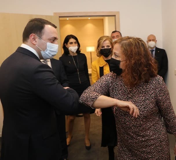 პრემიერ-მინისტრი ევროპარლამენტის სოციალ-დემოკრატიული ფრაქციის პრეზიდენტს შეხვდა