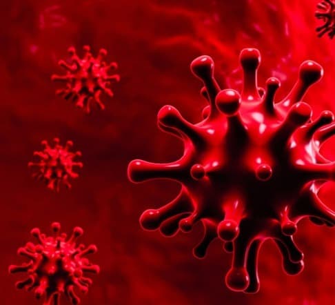 The number of COVID-19 infections in the world exceeded 121 million, the number of victims – 2.68 million