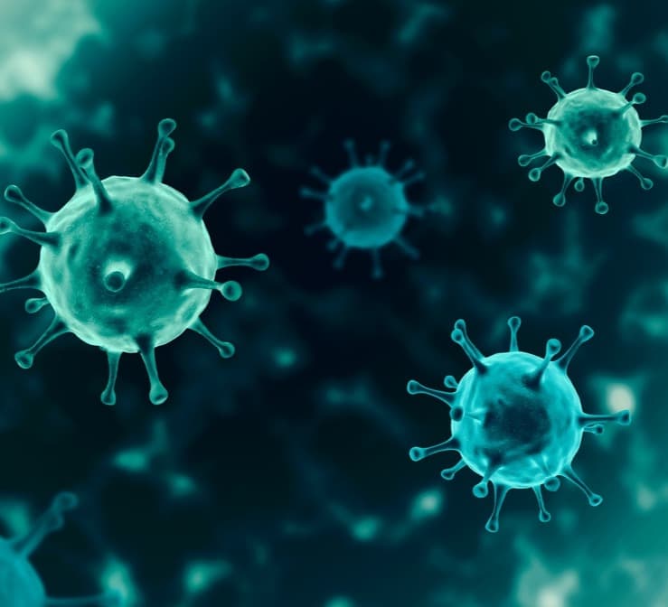 კორონავირუსის 360 ახალი შემთხვევიდან 164 თბილისში გამოვლინდა, 71 – იმერეთში