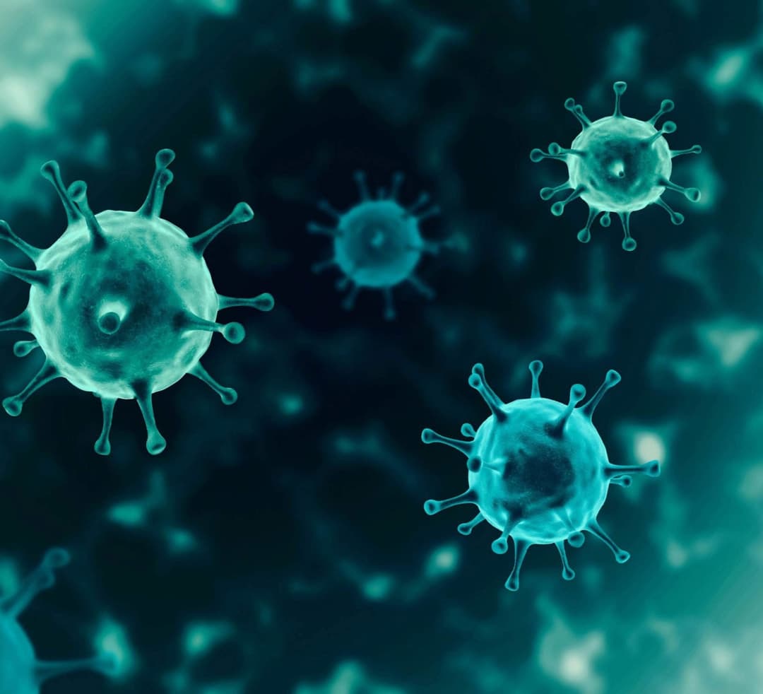 The number of cases of COVID-19 since the beginning of the pandemic in the United States has exceeded 30 million