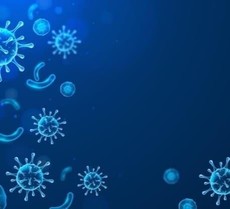 A new strain of coronavirus discovered in the Czech Republic