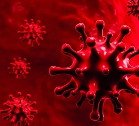 The number of COVID-19 infections in the world exceeded 128 million, the number of victims – 2.8 million