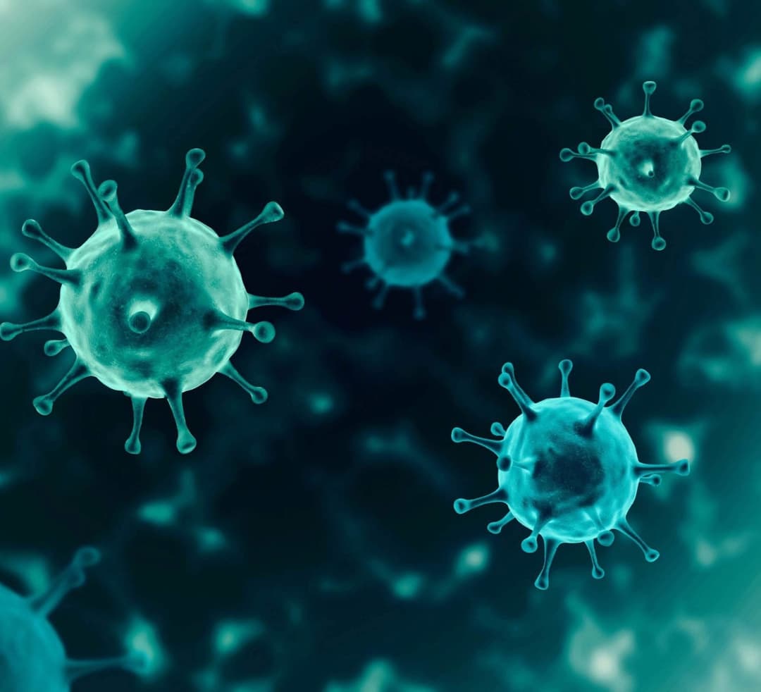 In Ukraine, 13,738 new cases of Covid-19 infection were recorded per day