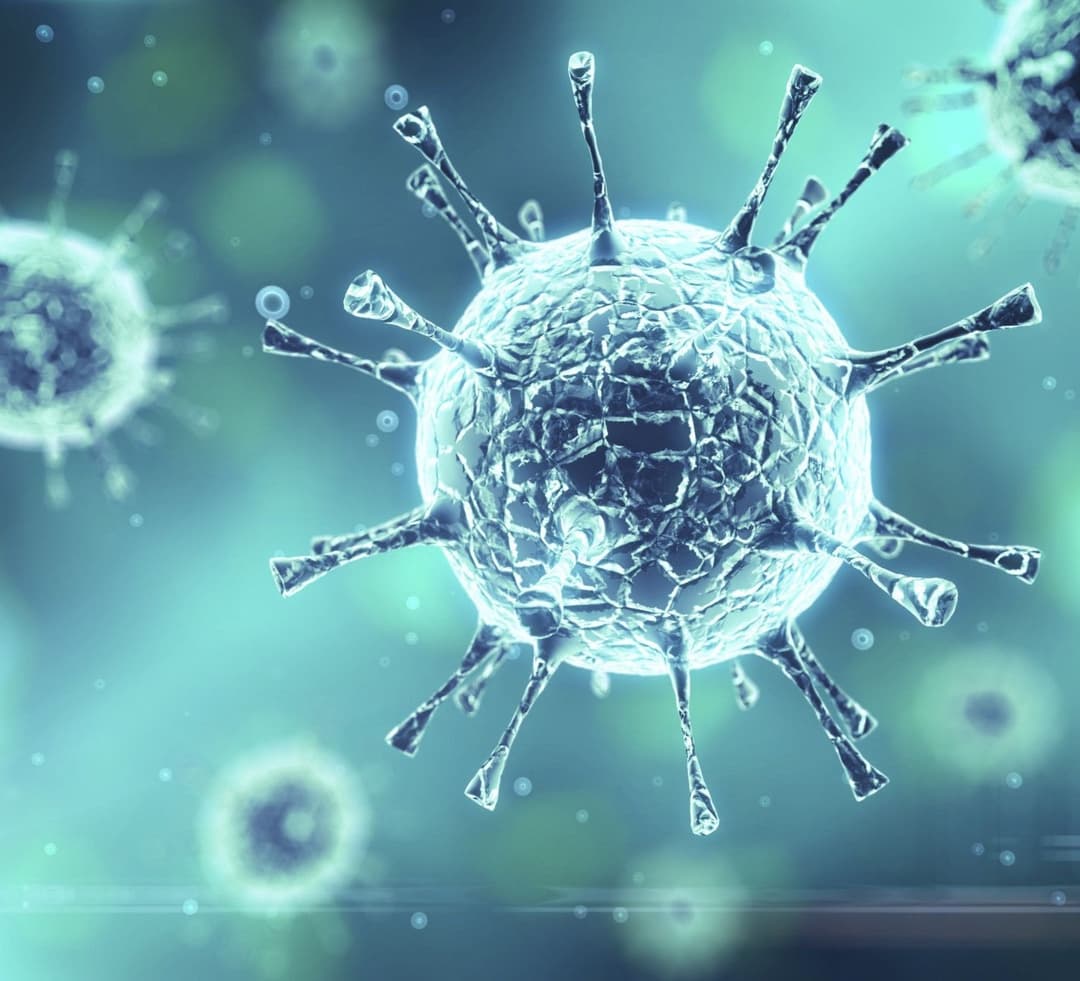 228 new cases of coronavirus were detected in Georgia, 425 people recovered