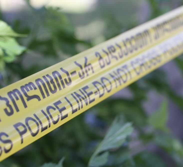 ოზურგეთში ავარიის შედეგად ახალგაზრდა ქალი დაიღუპა, მისი 2 მცირეწლოვანი შვილი კი დაშავდა